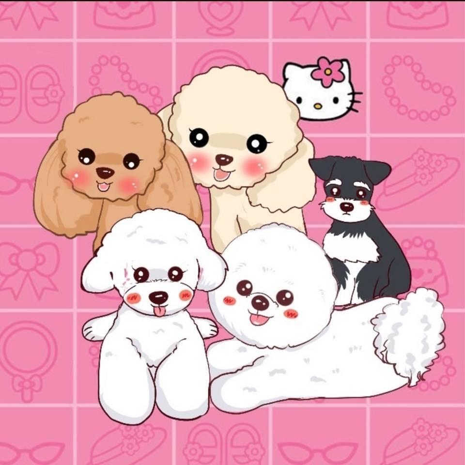 小老弟与他家的宠物