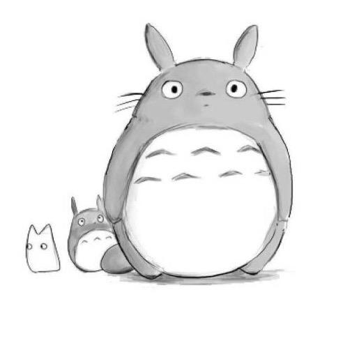 顺顺’s龙猫🙄
