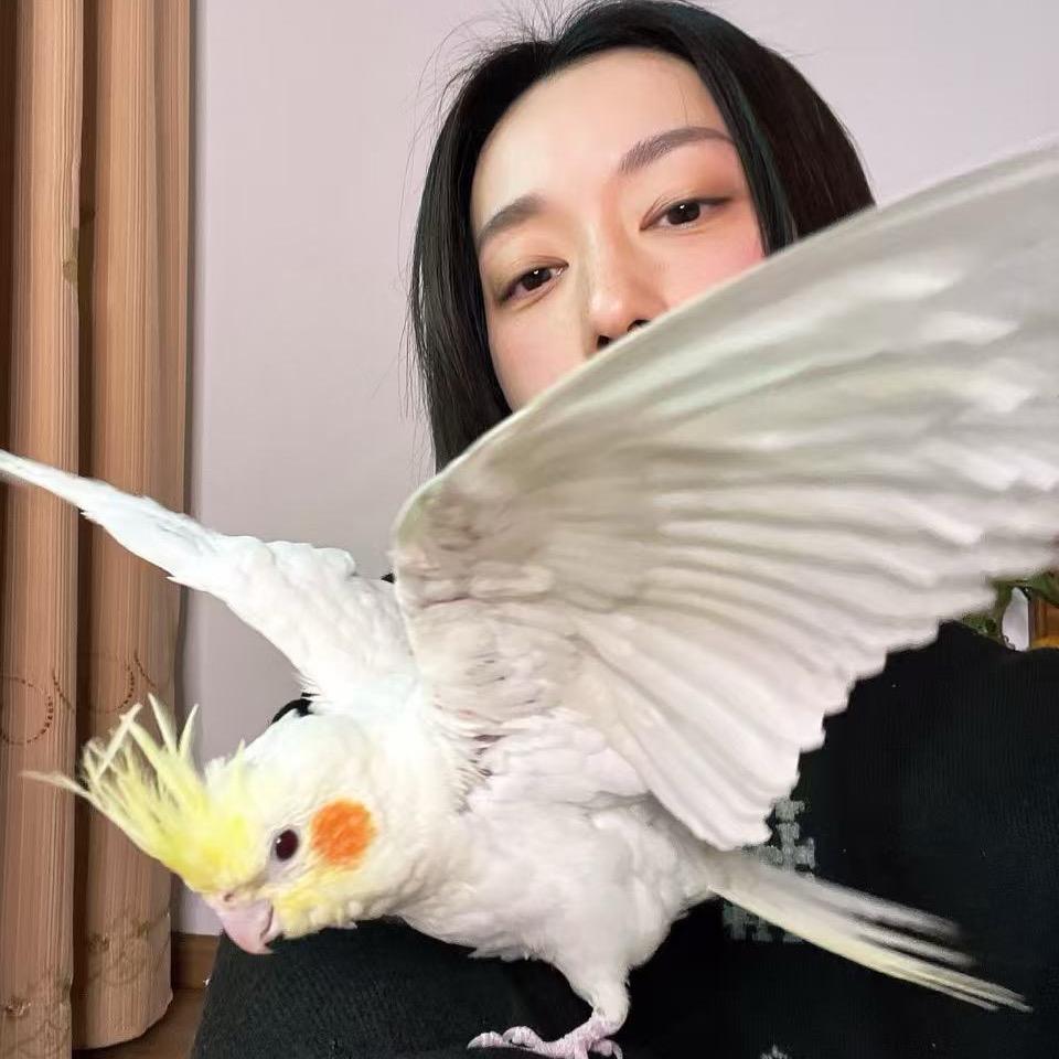 小鸟喳喳飞