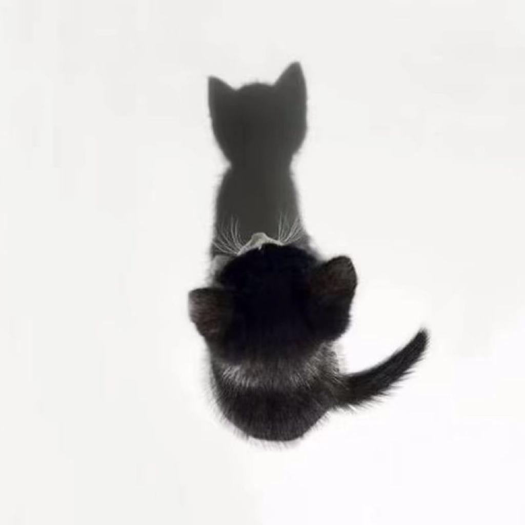 蜡笔小昕