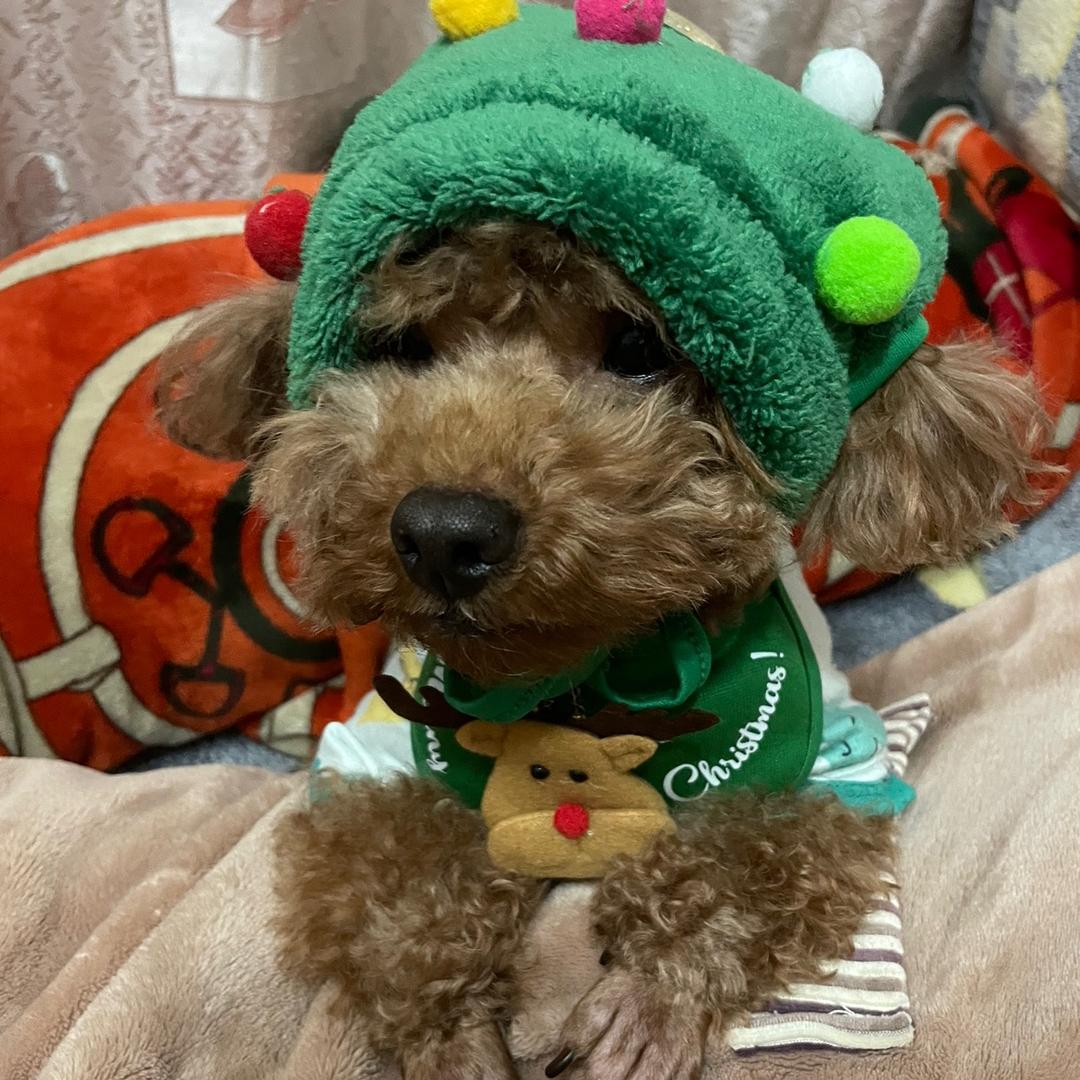 lucky大王