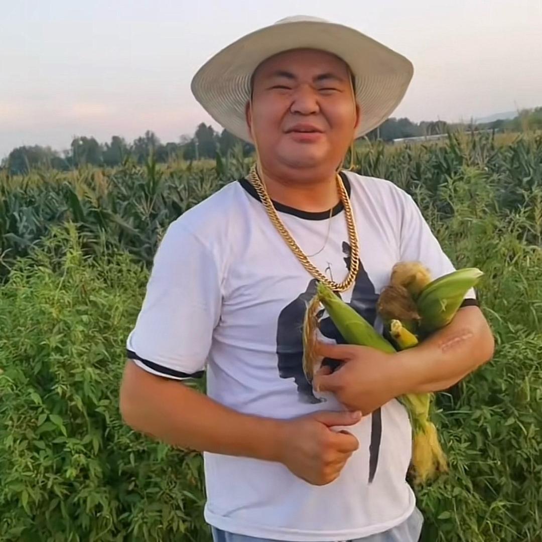 涛子的日常