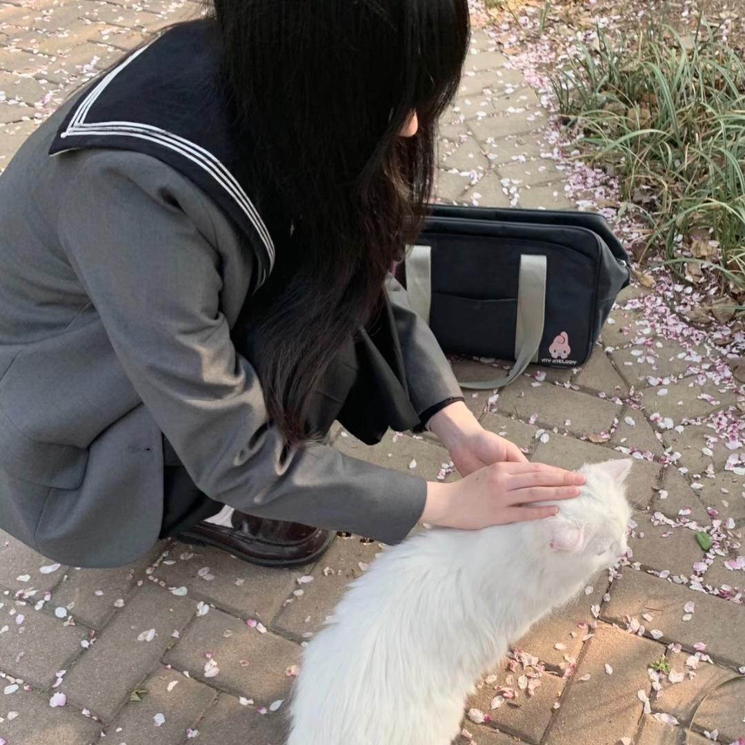 凤凤困了