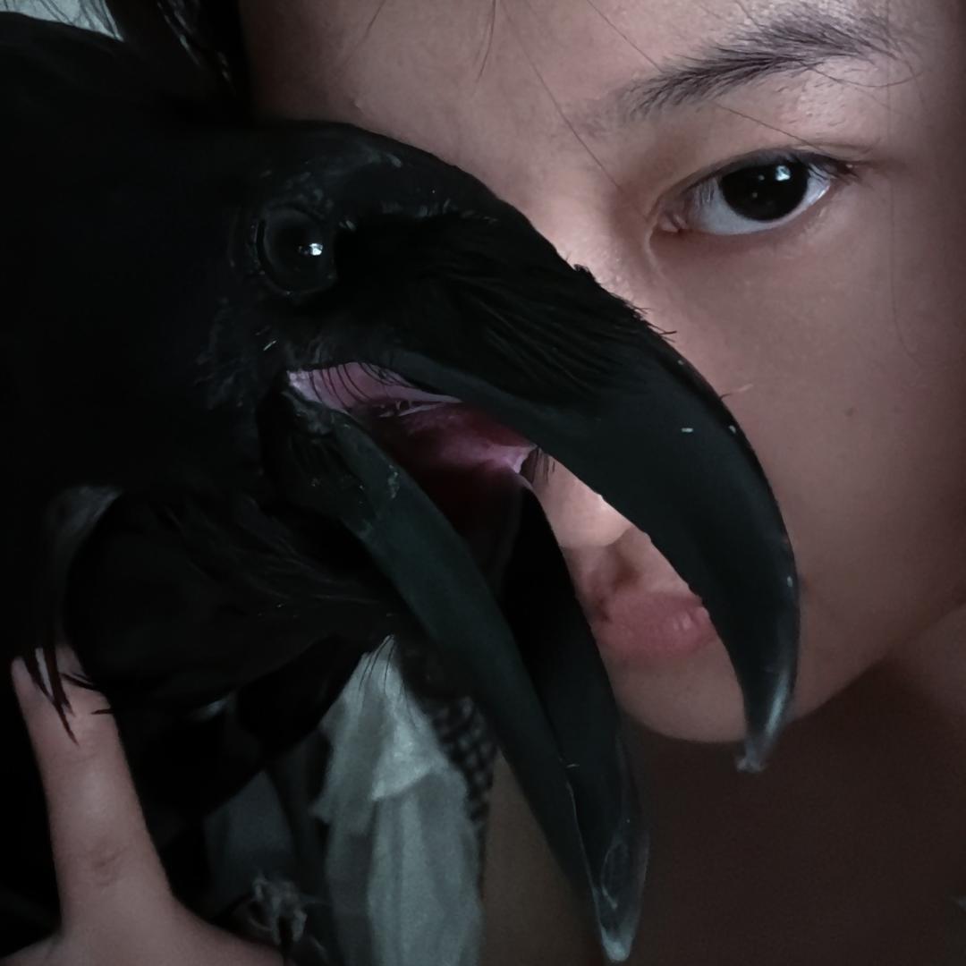 🐦‍⬛乌鸦像写字台