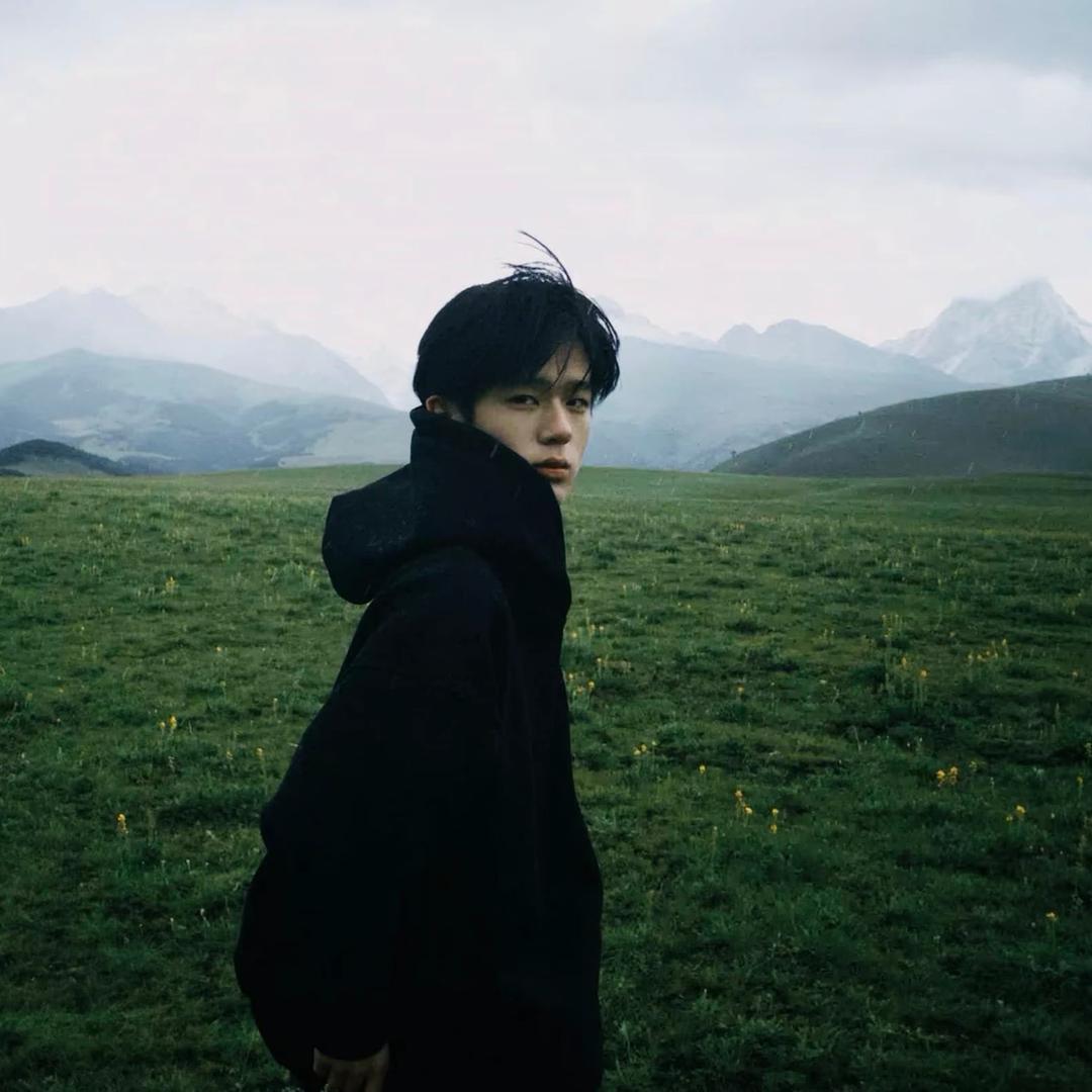 游导.🎬