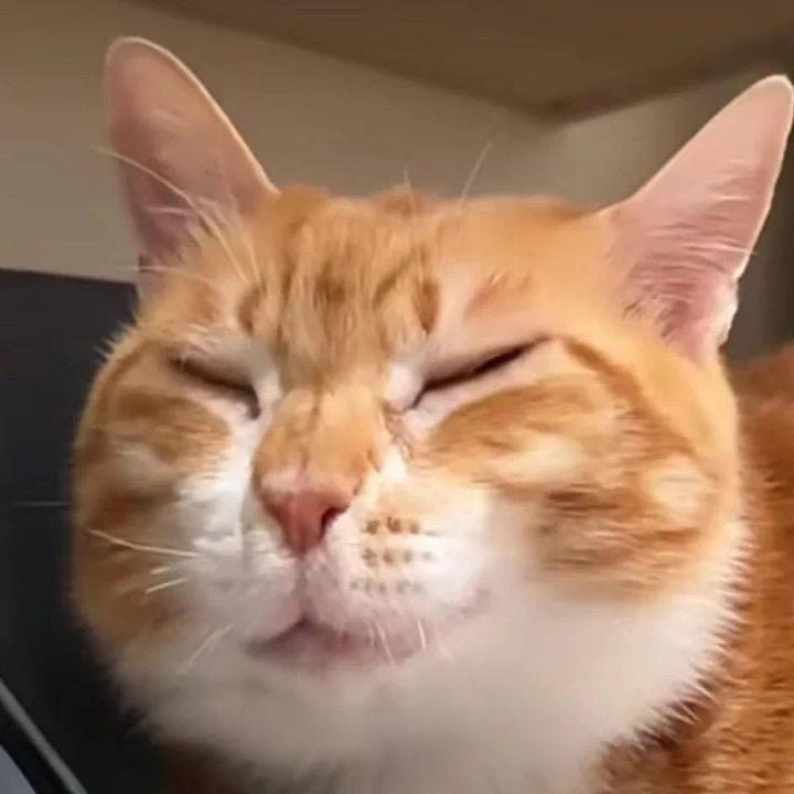 y.