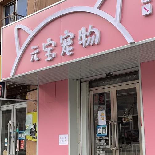 元宝喵喵屋宠物店