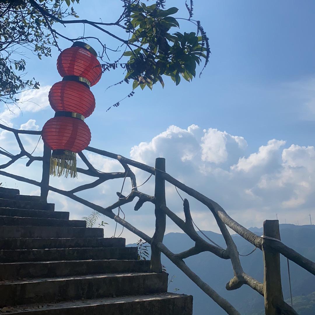叮当分享