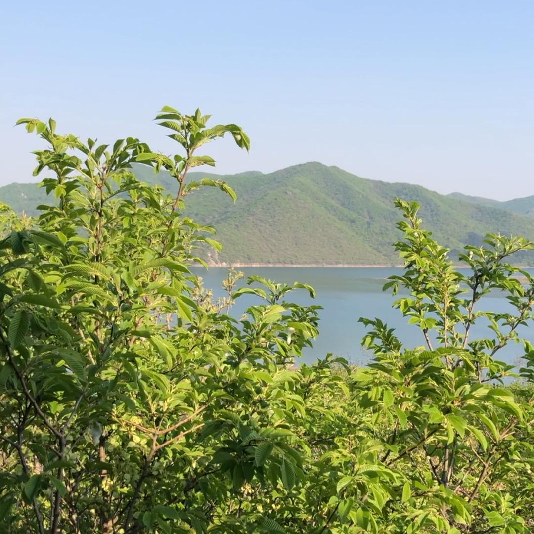静心生活