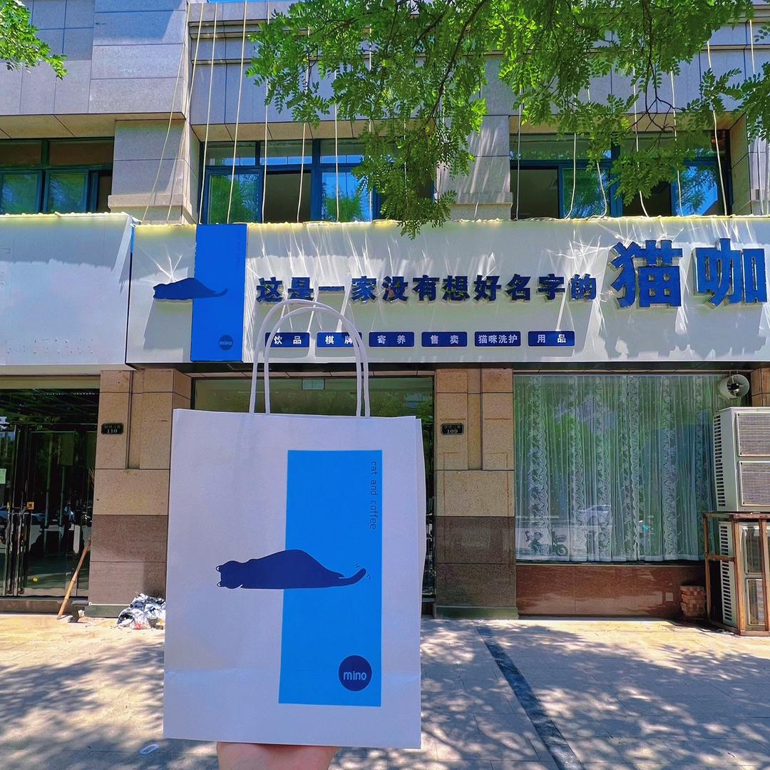 沁阳市米诺猫咖宠物店
