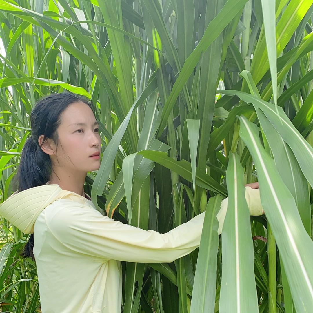 盛农农业-牧草养殖