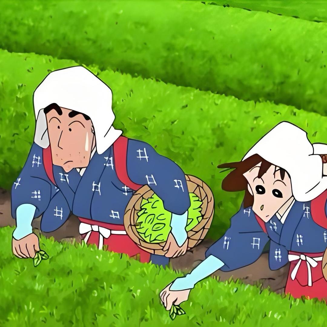 不会泡茶的年轻人