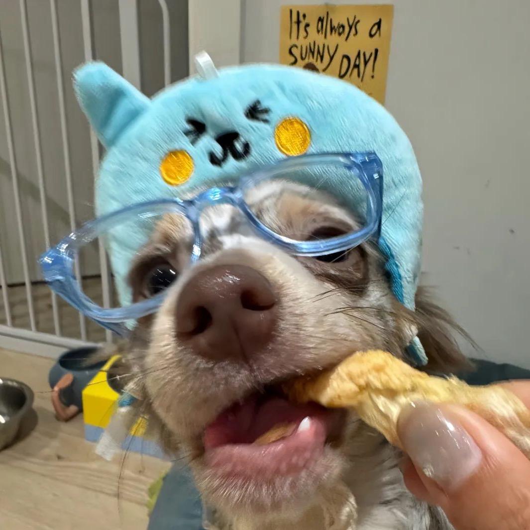 🧸ྀི
