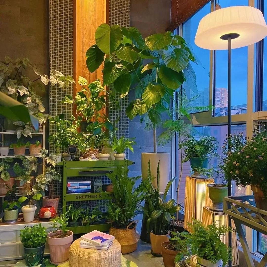 绿艺植物园