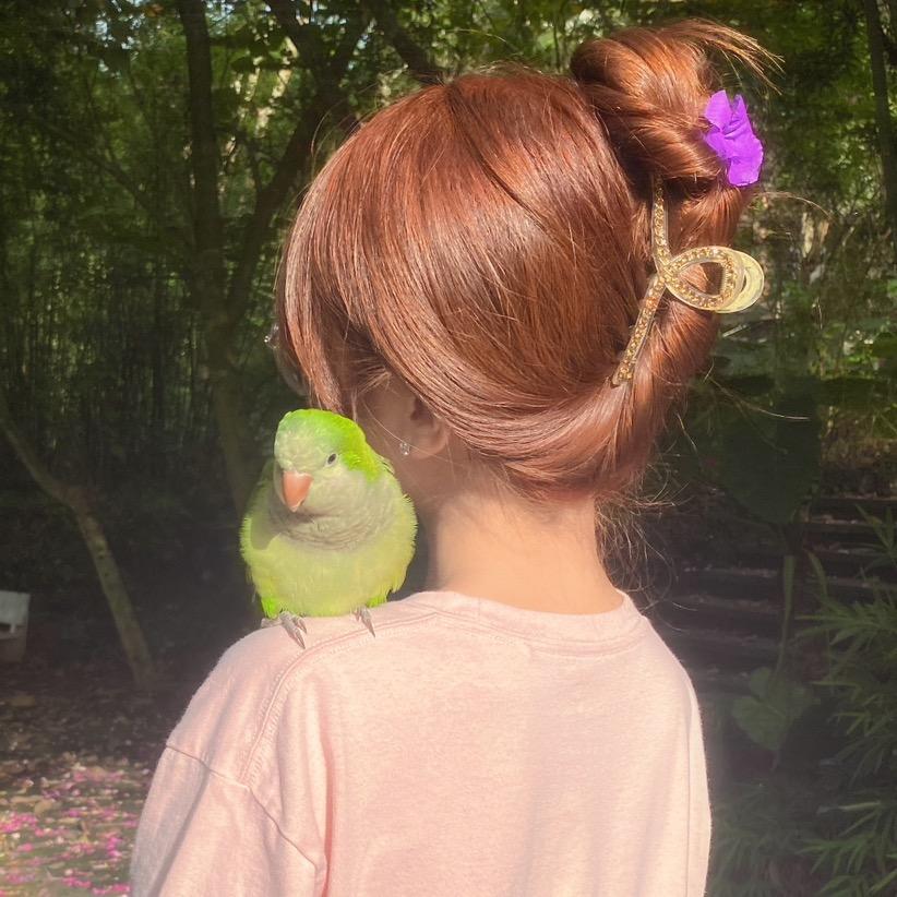 小恐龙timi🦖