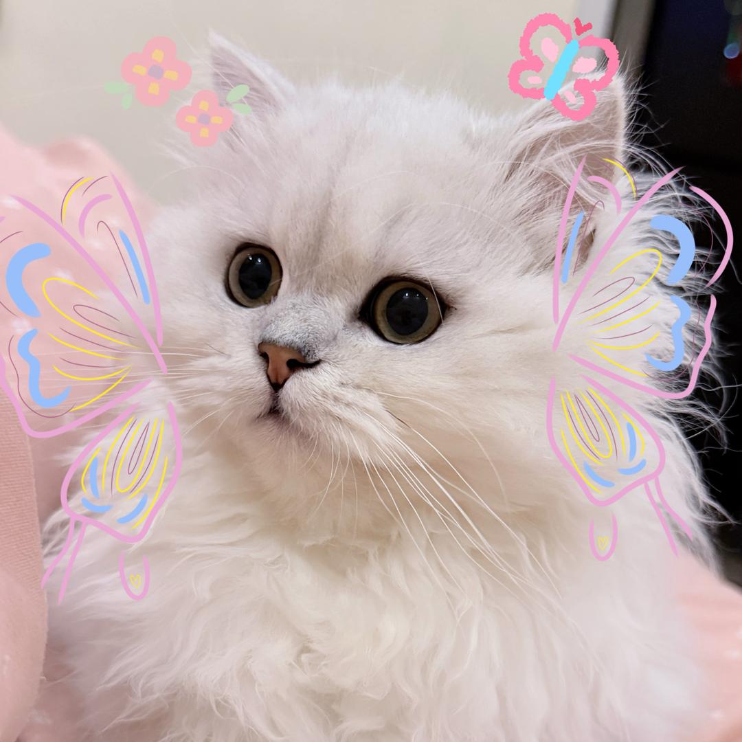 训