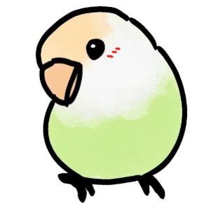 小鹦鹉涨停（尖叫版）