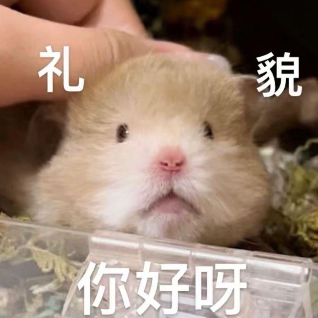 头头果果ys（沈梦瑶身体健康）
