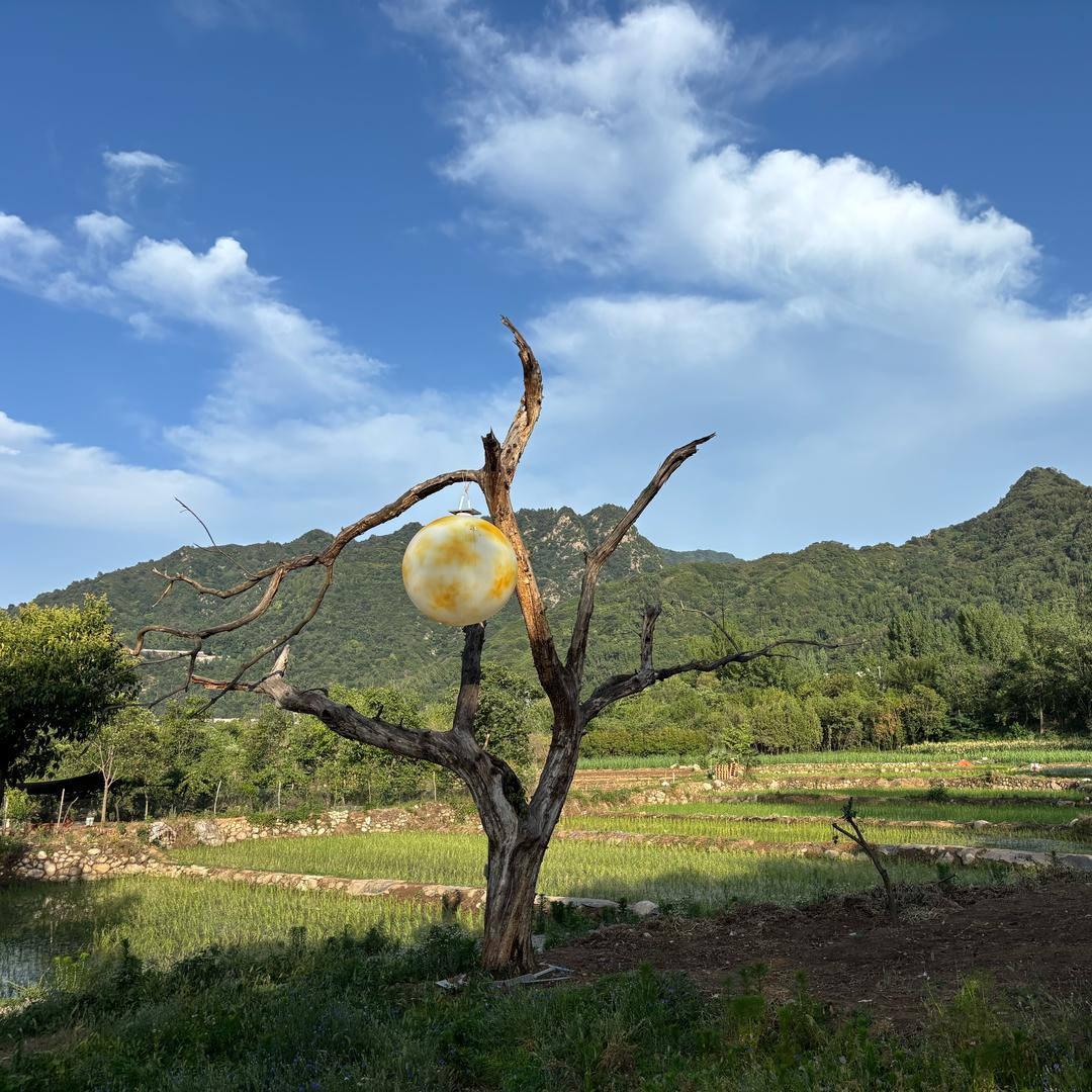 张佑宸