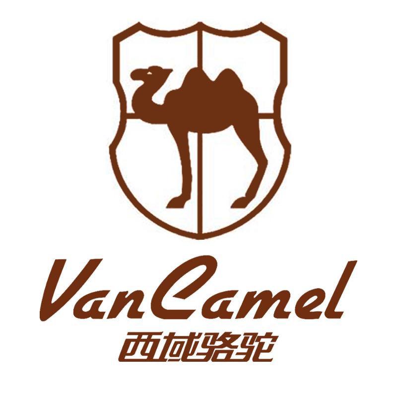 西域骆驼户外特卖