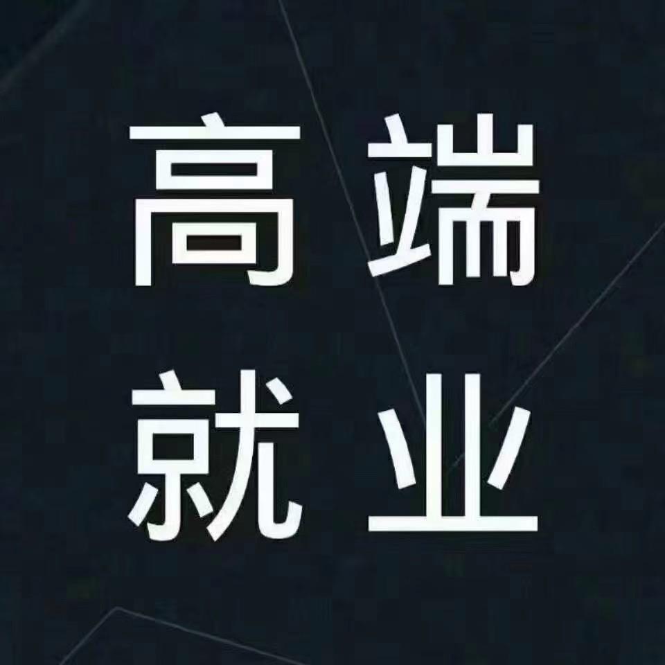 高端就业指导