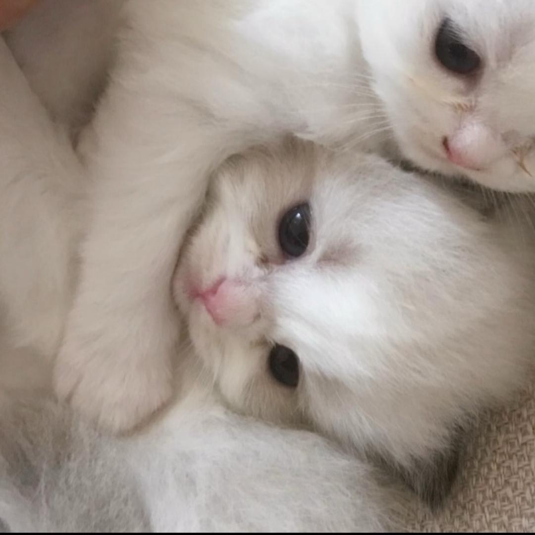 我shanbusini_16
