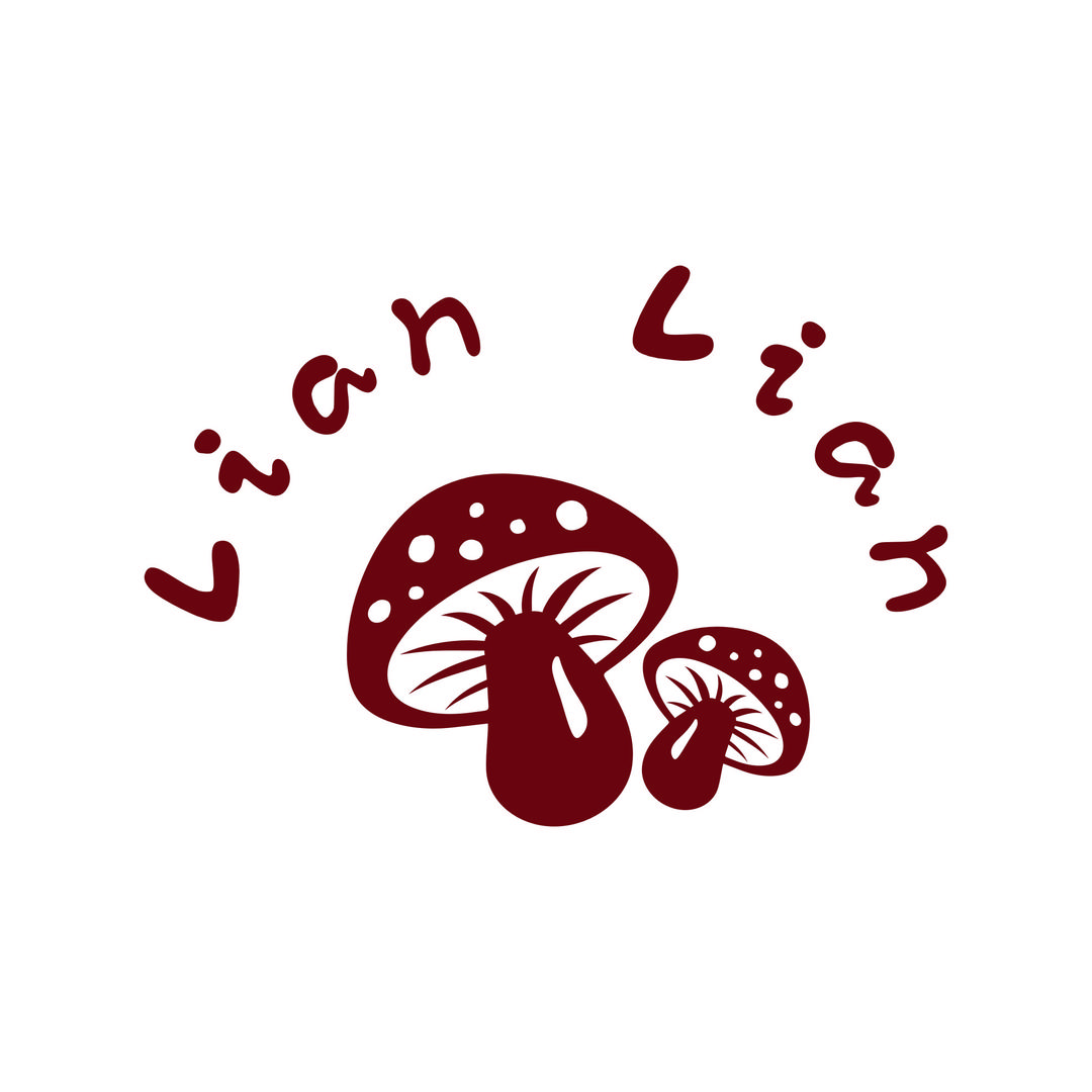 Lian饰物所