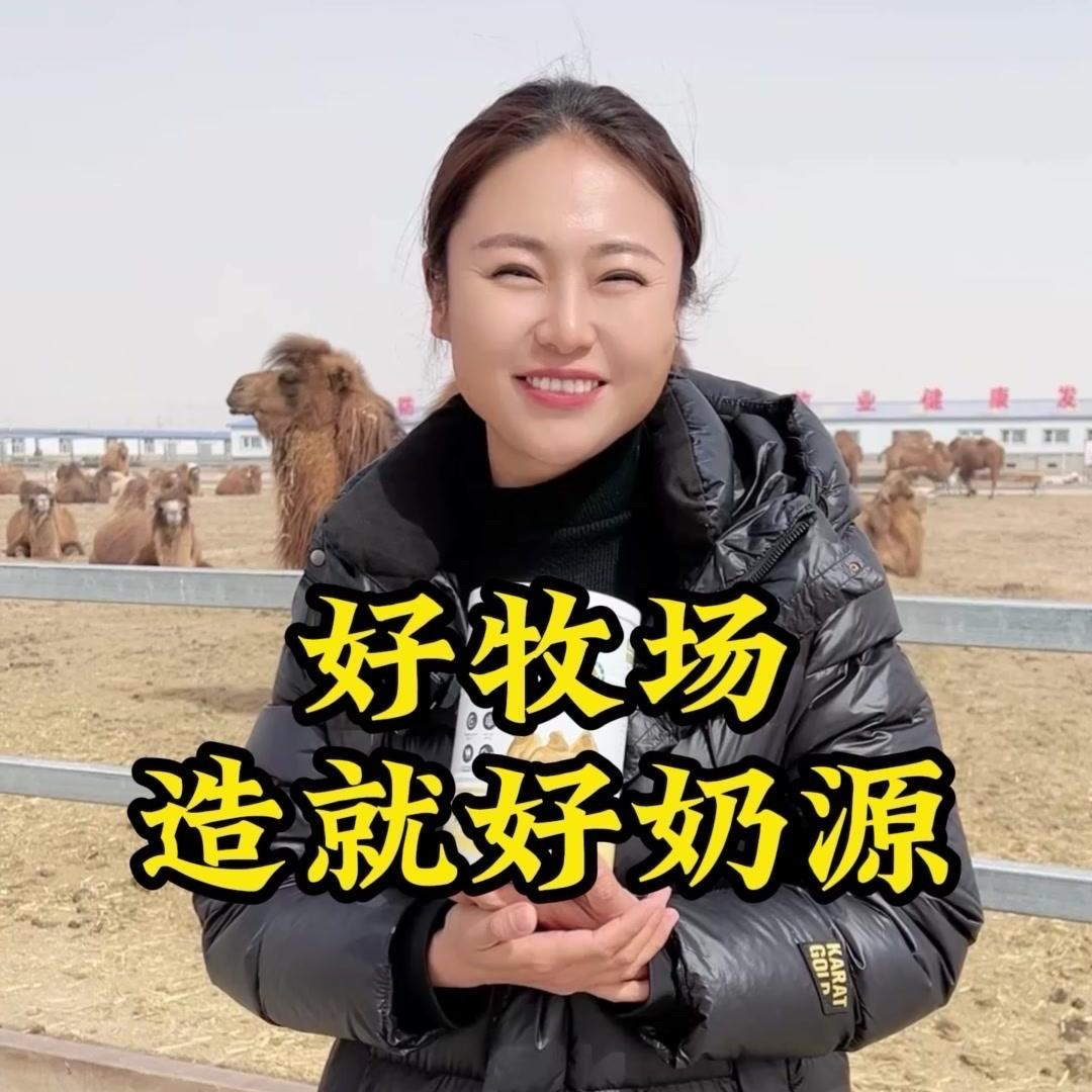新疆古道牧场