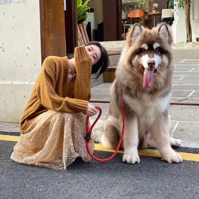 满眼星辰🔆