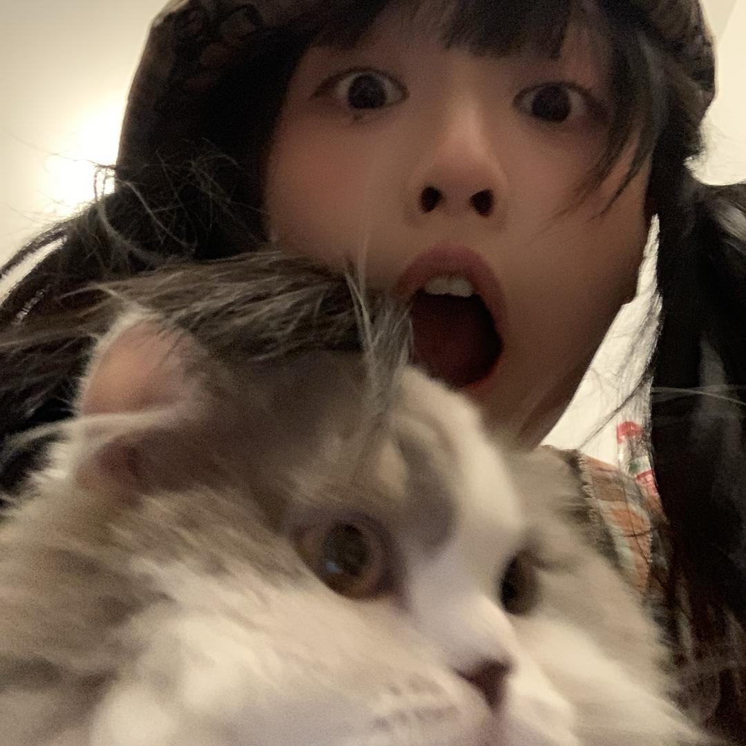 各各答