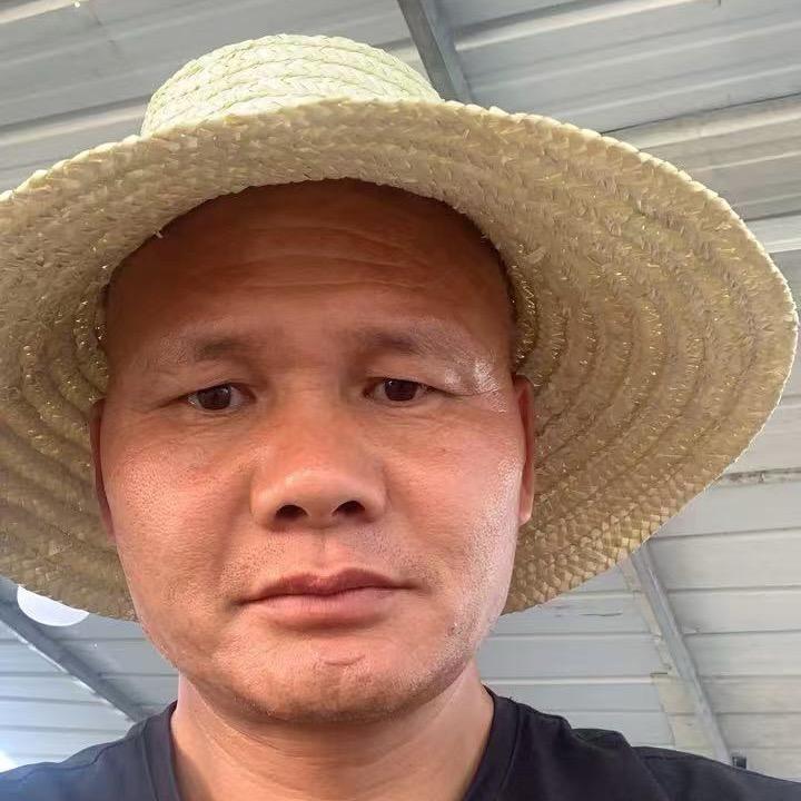 光头五哥