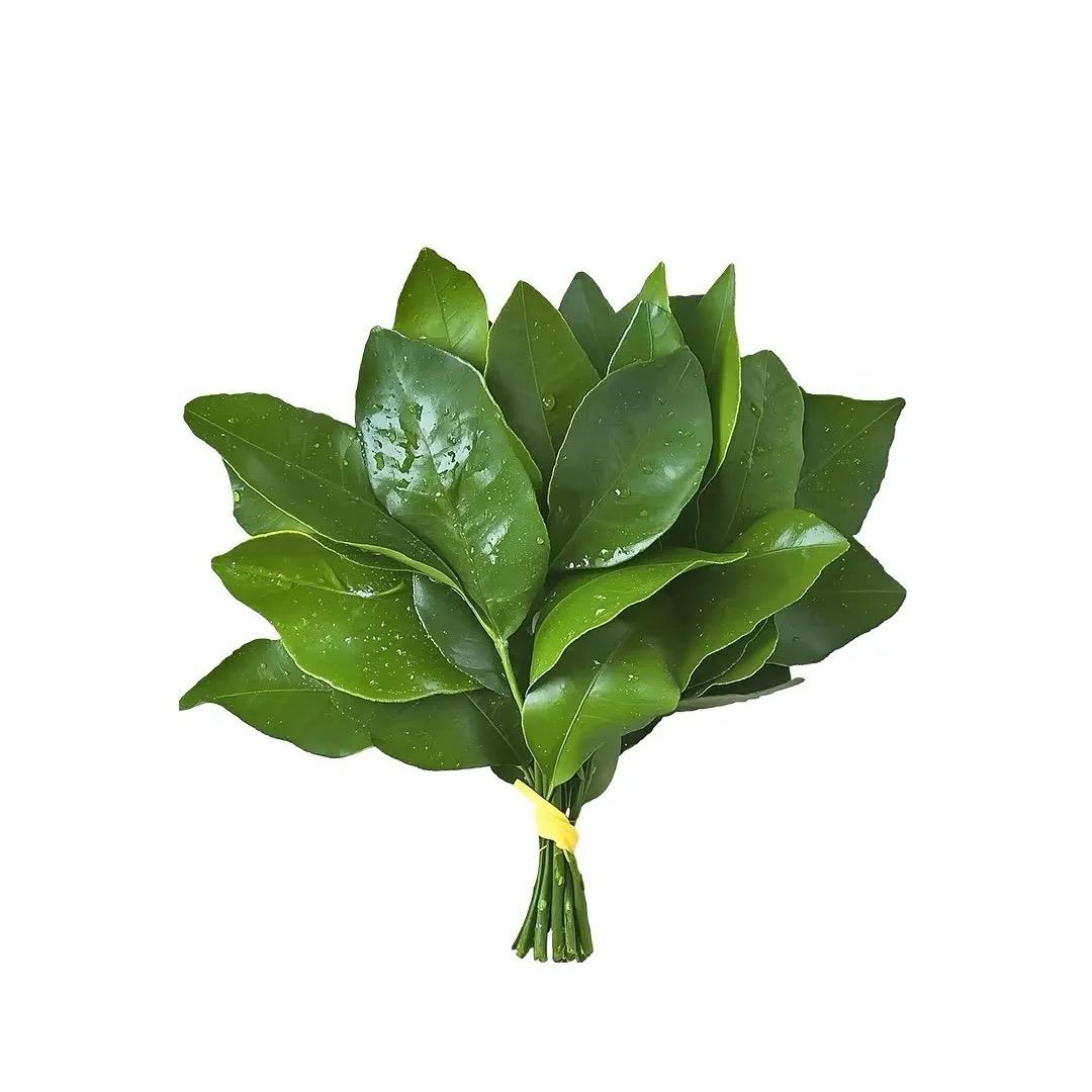 笨蛋比个耶