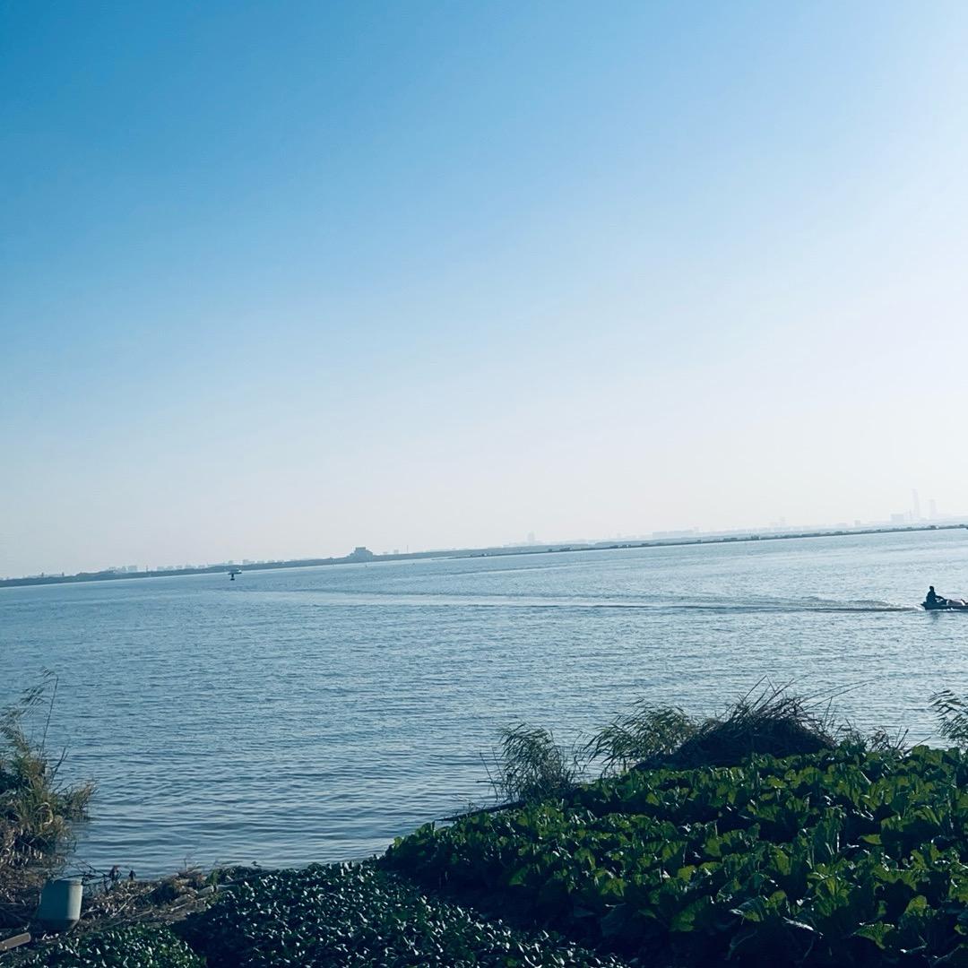 嗳我.寵嫒我
