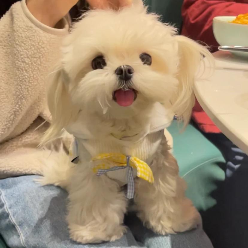物理使人头秃