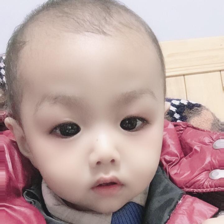 六六