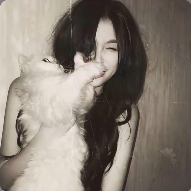 呆呆Kitty猫
