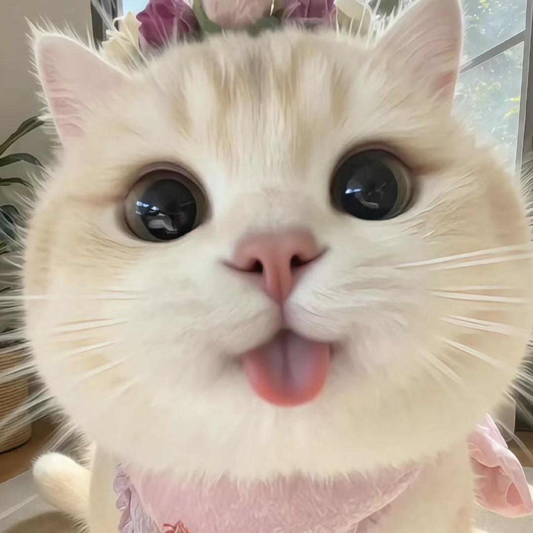 槐奴百货
