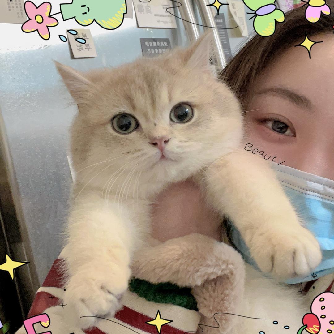 小周周猫舍