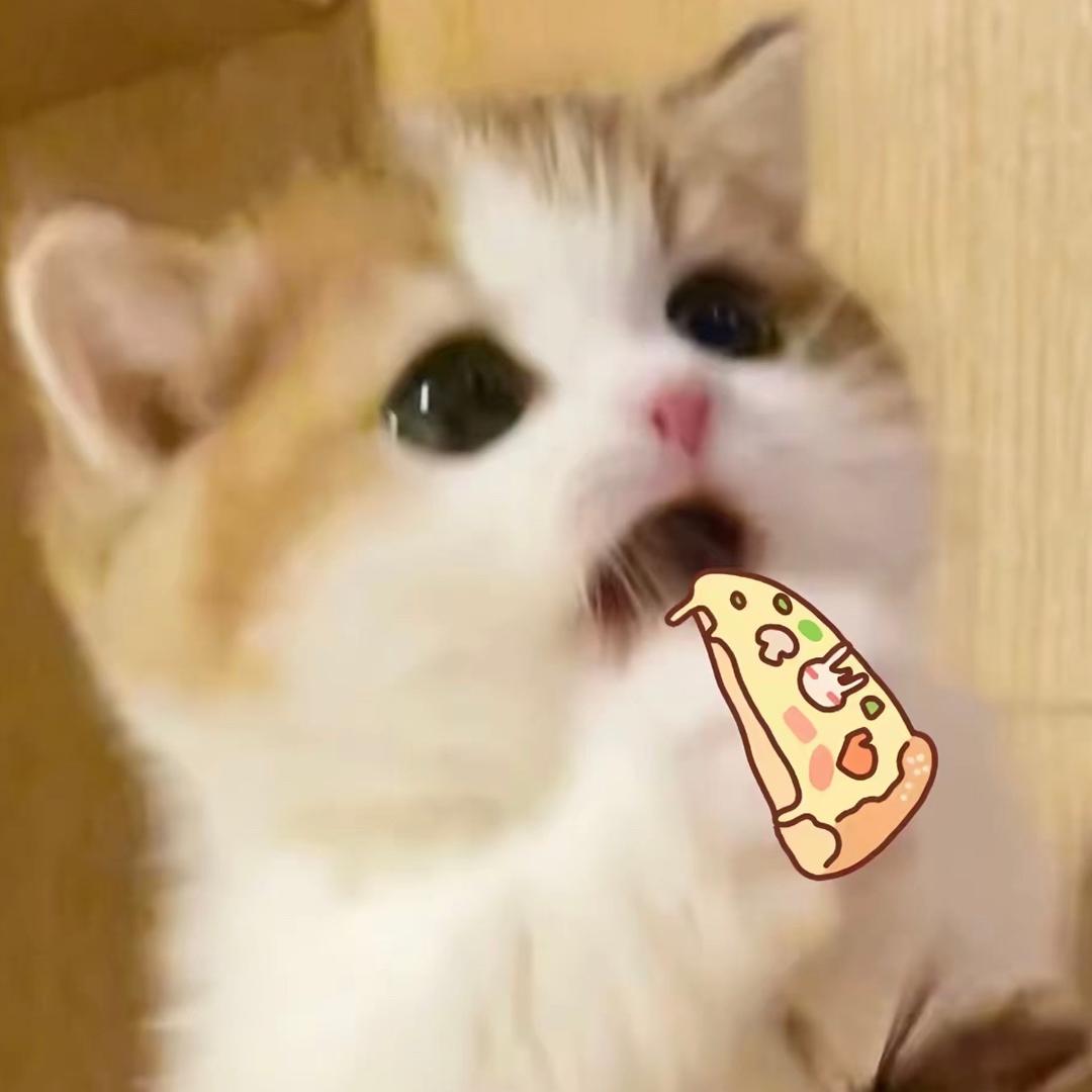 番茄茄