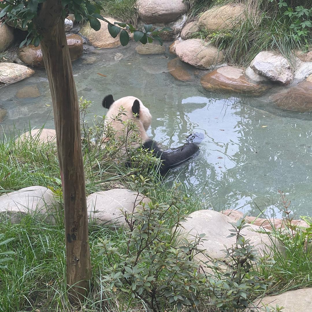 东哥超会玩