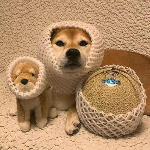 小舞妈妈👩