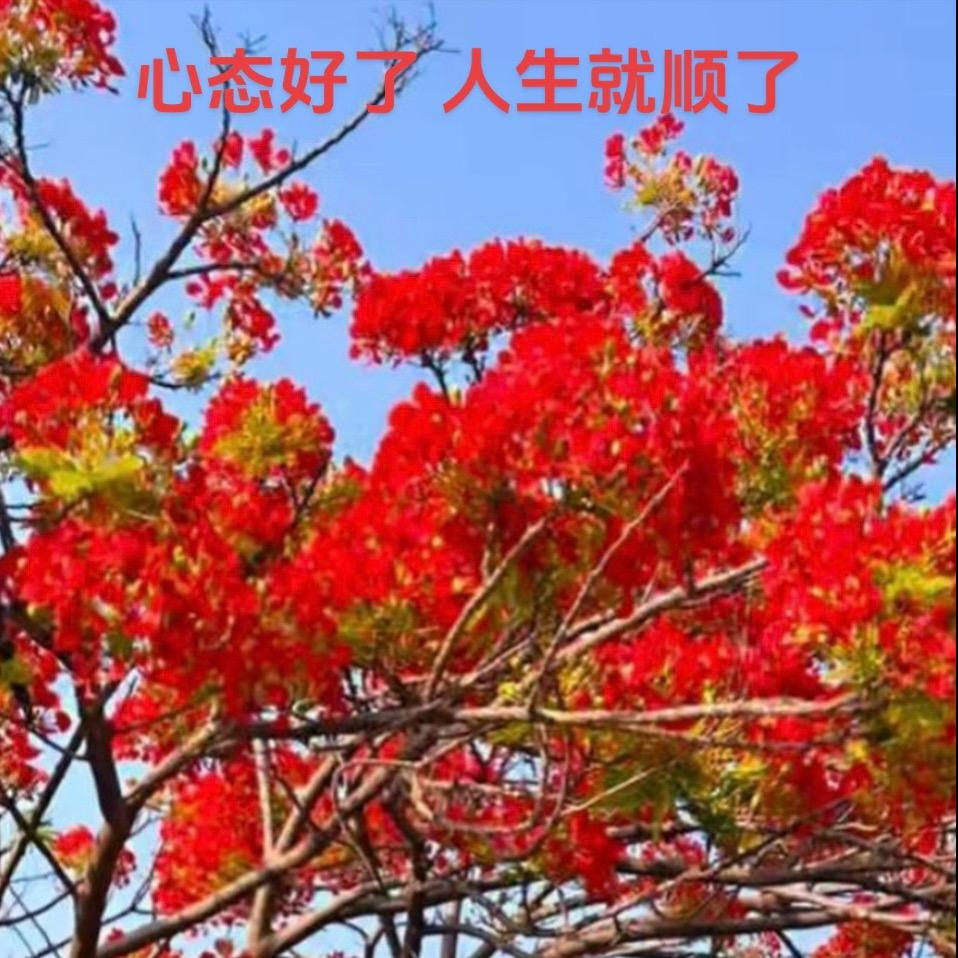 马英