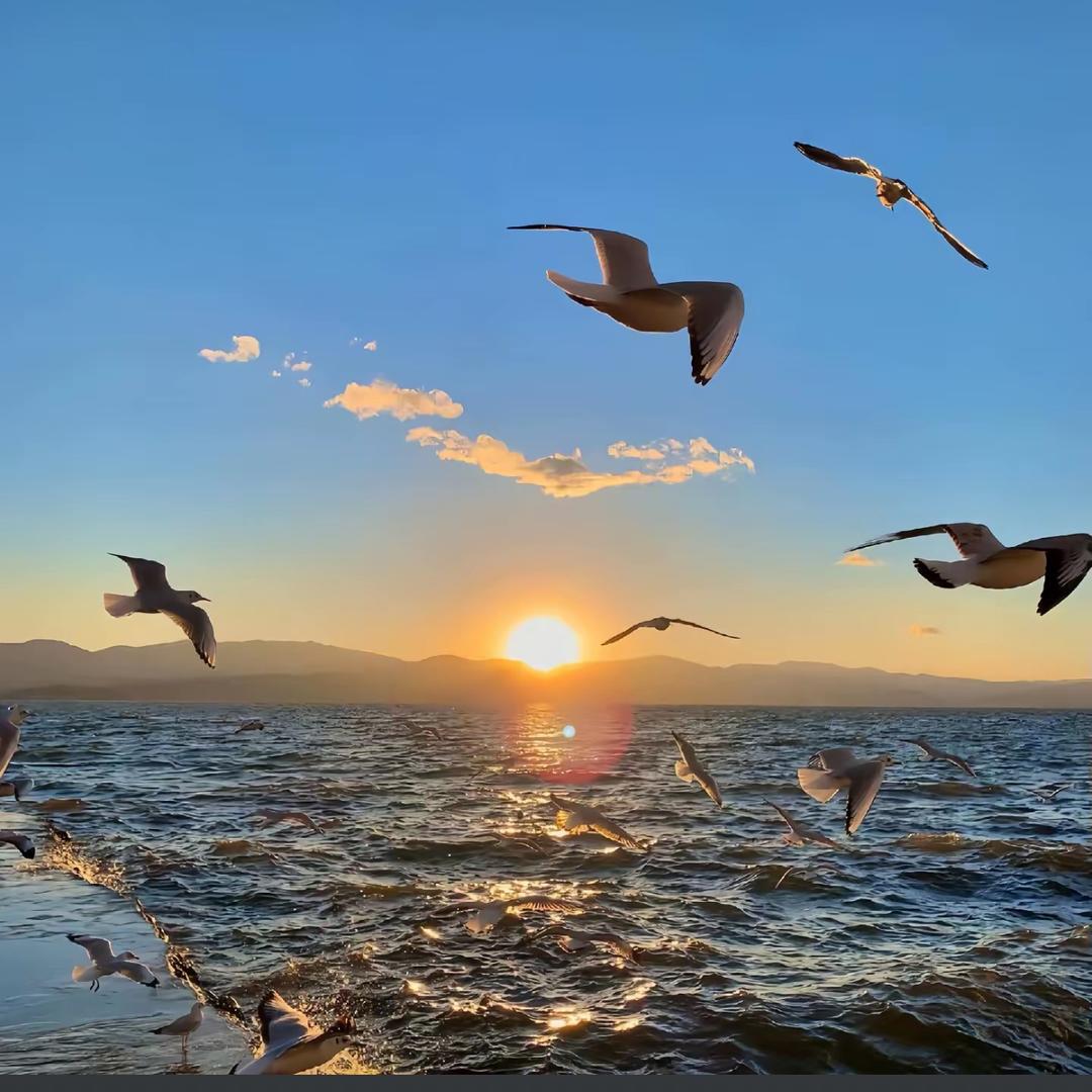 星辰大海