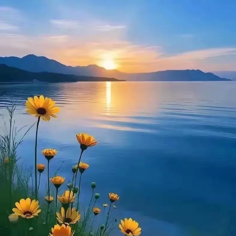 天水菜篮子