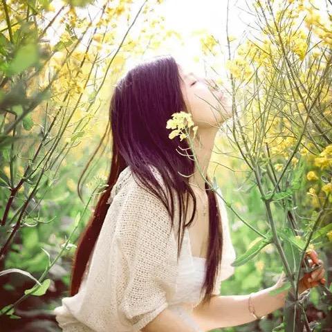 微雨兮颜