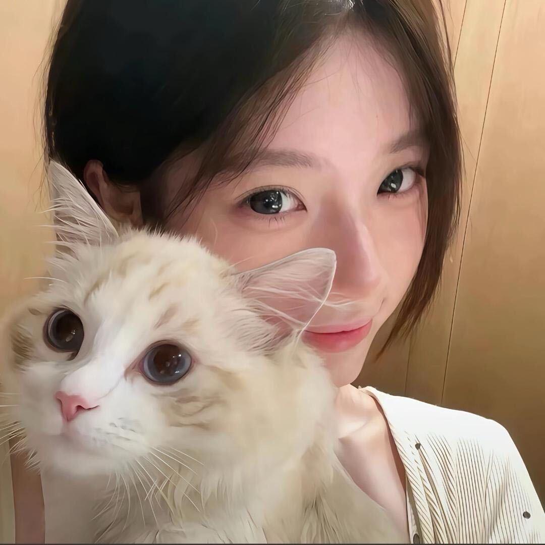🐰