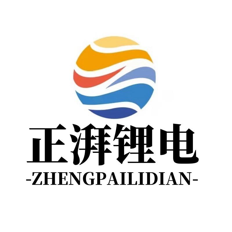 山东【正湃锂电】