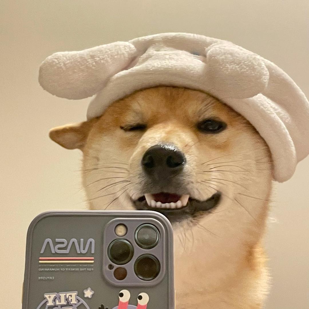 楊丶
