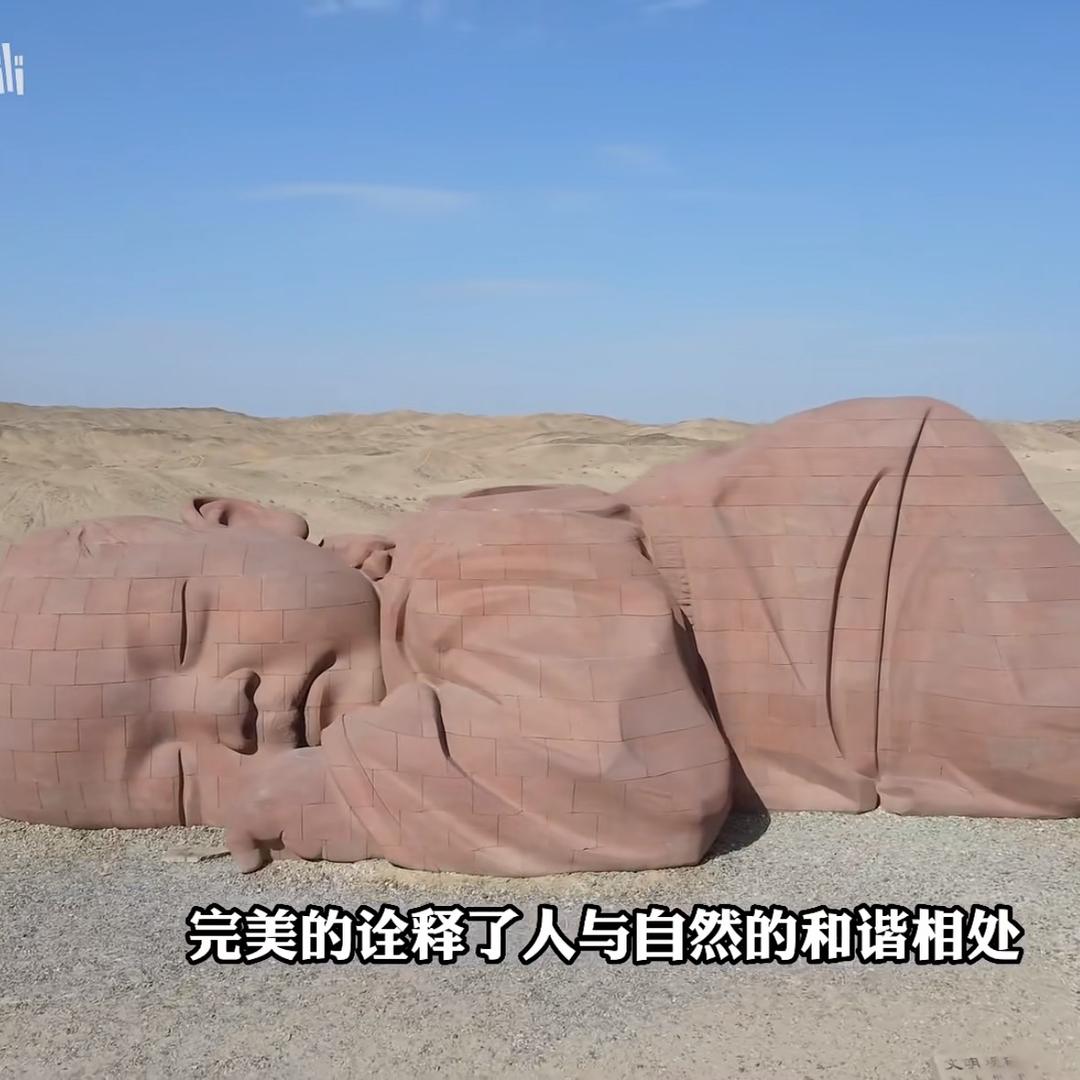 风禾尽起.