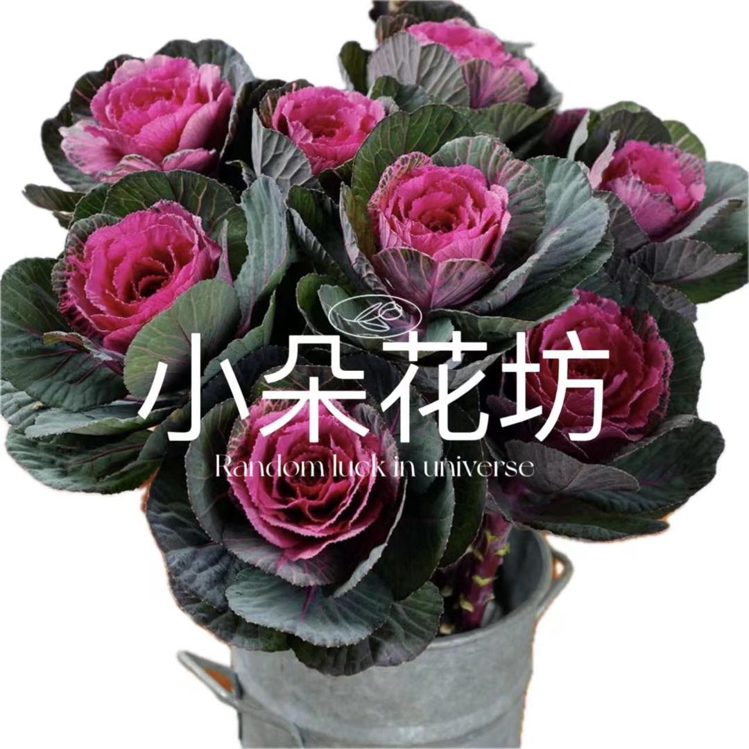 小朵花坊